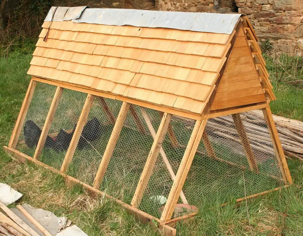 Building A Backyard Chicken Coop Cheap And Sustainable Prepping