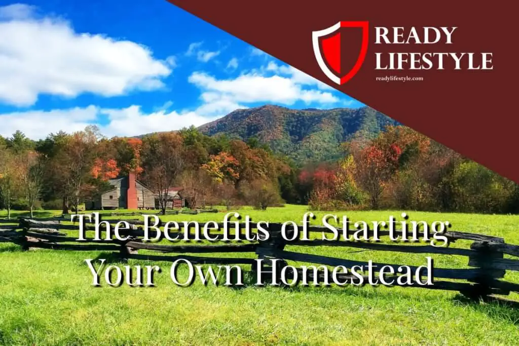 Benefits of Starting a Homestead