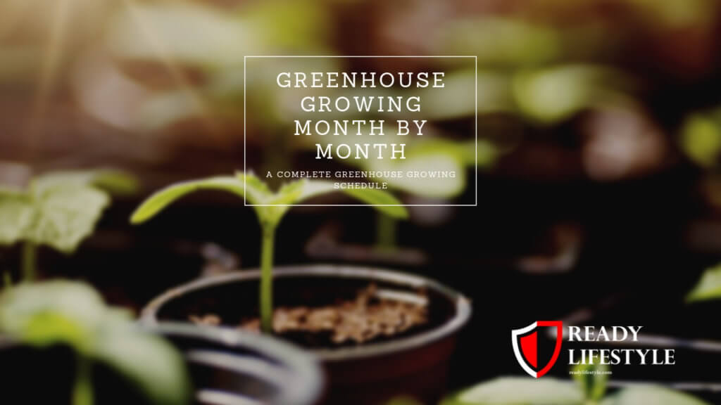 Greenhouse Growing Month by Month