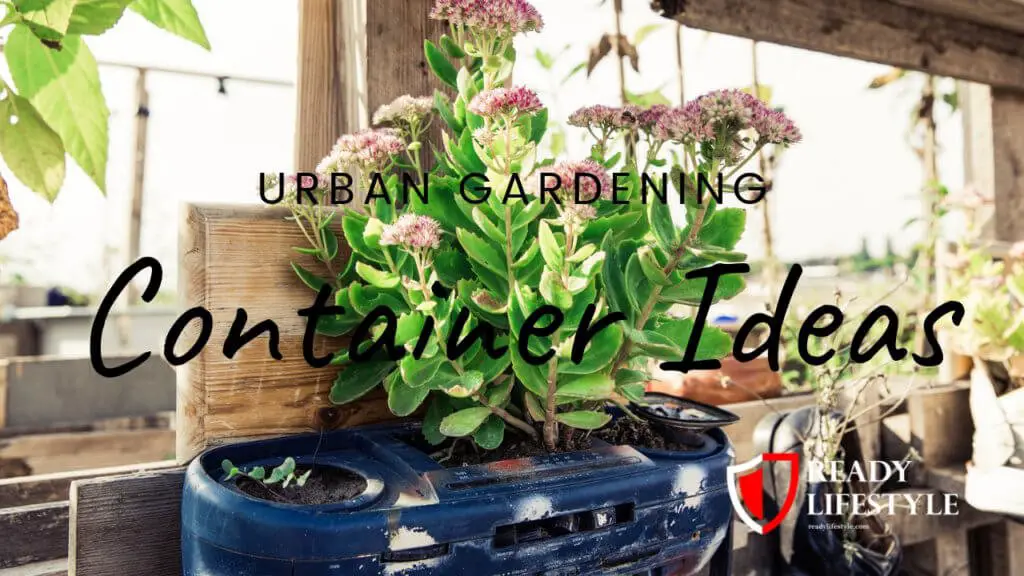 Urban Gardening Container Ideas