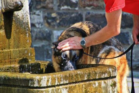 Heat Exhaustion and Heatstroke - Causes, warning signs, and treatment