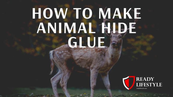 How to Make Animal Glue