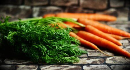 Indoor Carrots