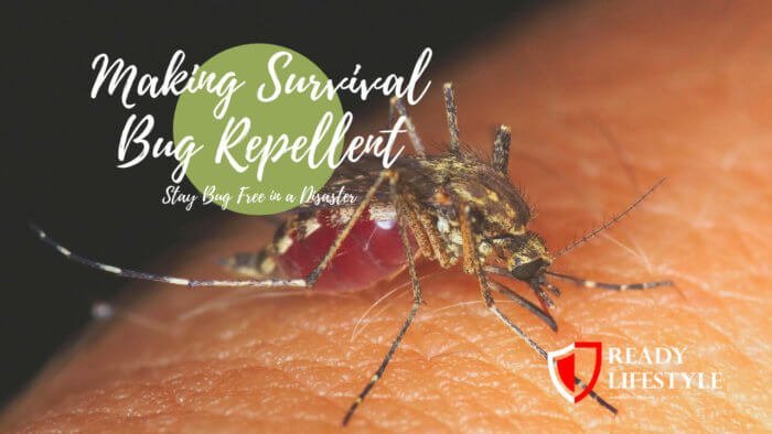 How to Make Survival Bug Repellent