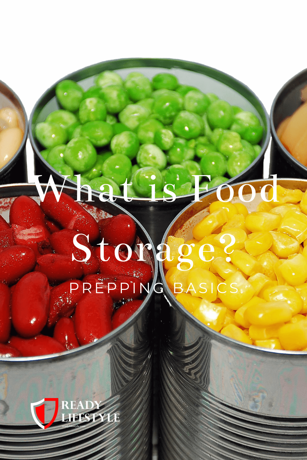 What is Food Storage