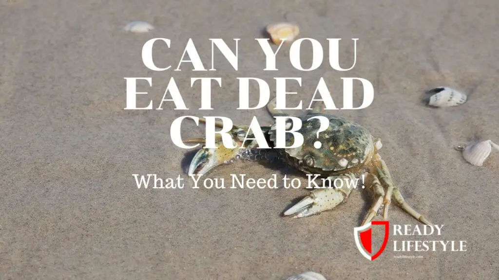 Can You Eat Dead Crab