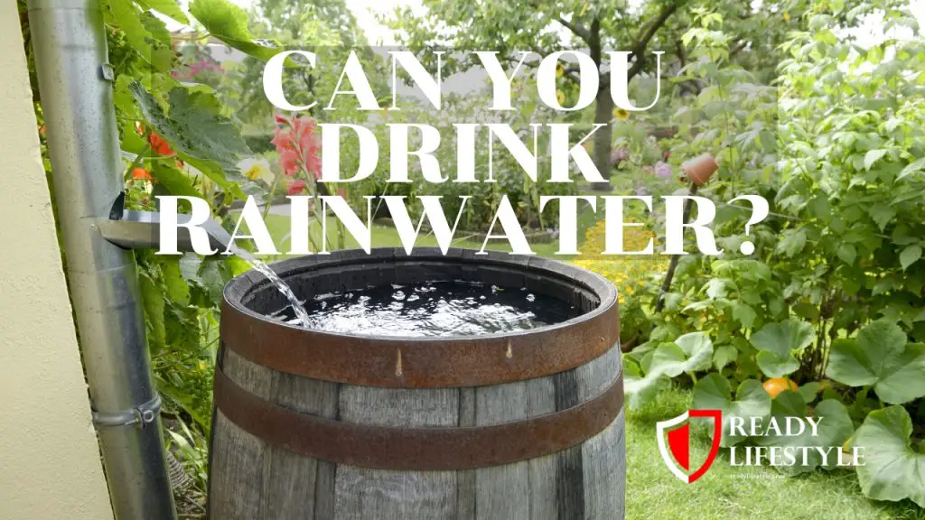 Can You Drink Rainwater