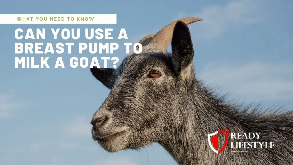 Can You Use a Breast Pump to Milk a Goat