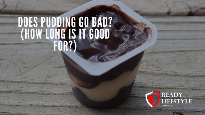 Storing Pudding Long Term: Does It Go Bad? Storing Pudding Long Term: Does It Go Bad?