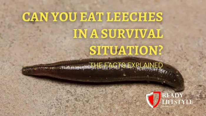 Can You Eat Leeches in a Survival Situation