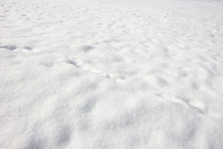 Eating Snow for Survival