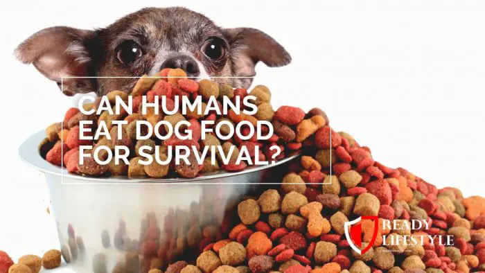 Can Humans Eat Dog Food for Survival