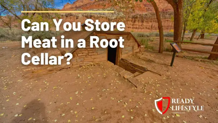 Can You Store Meat in a Root Cellar?