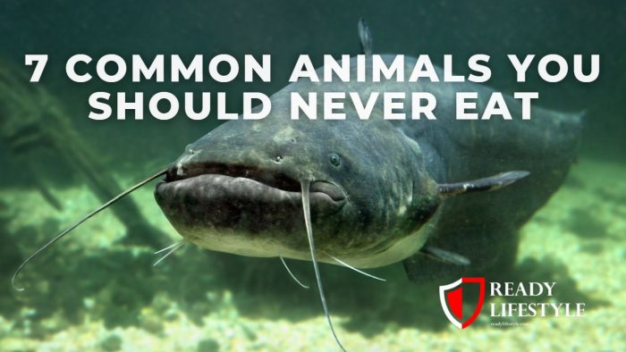Common Animals You Should Never Eat